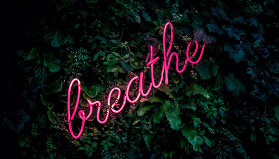services-breathe